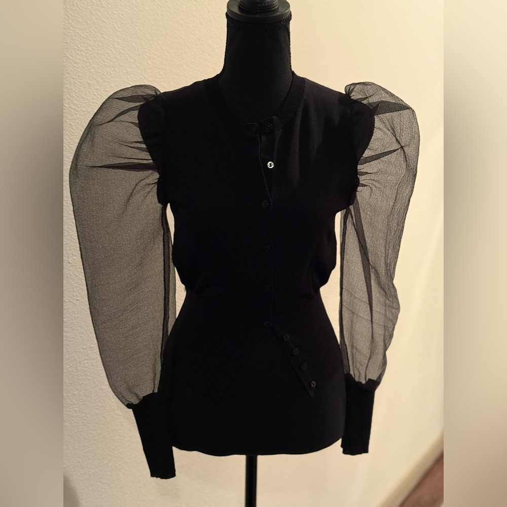 Zara Black Sheer Puff Sleeve Blouse/Sweater